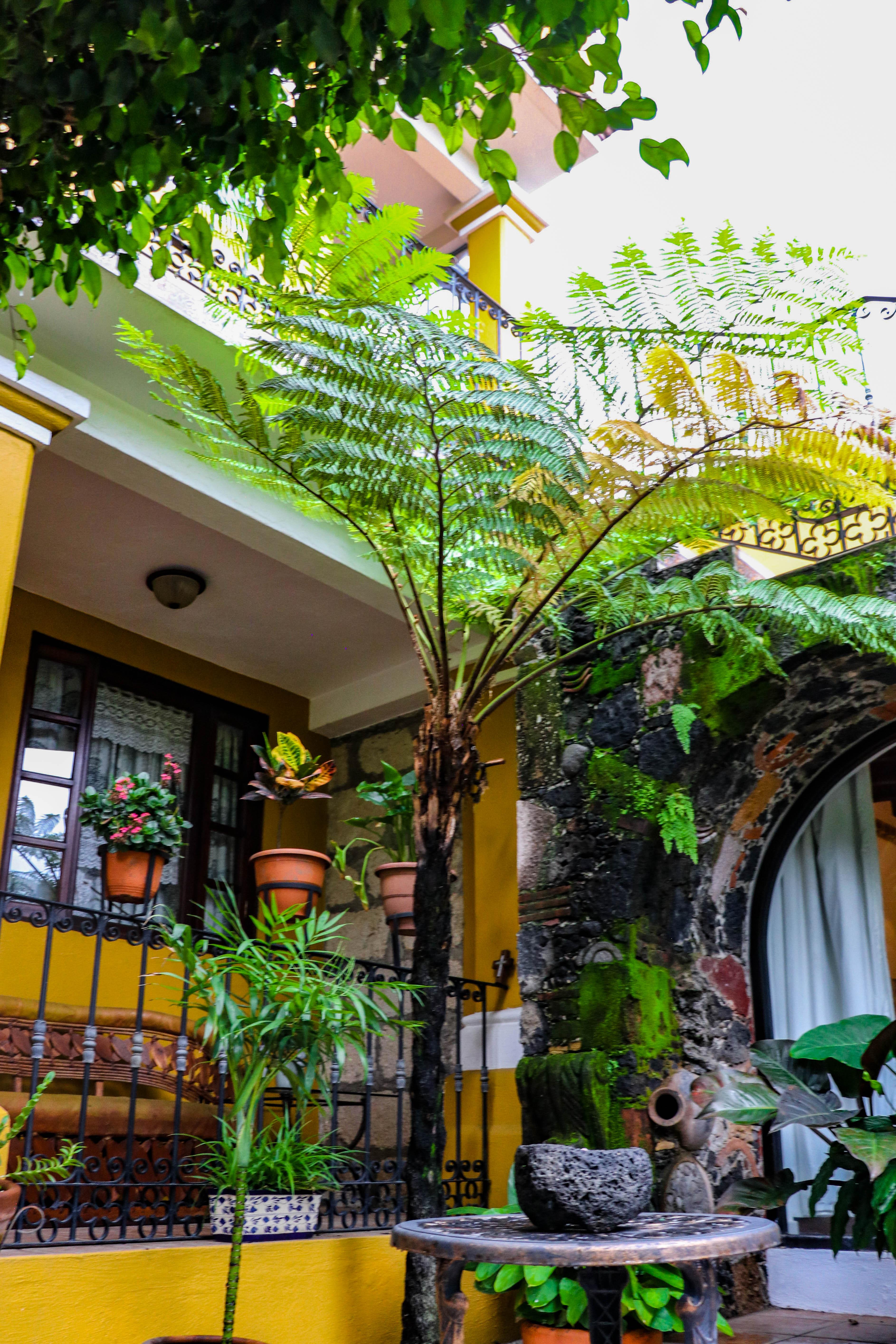 Quinta La Herradura Hotel Tepoztlan Exterior photo