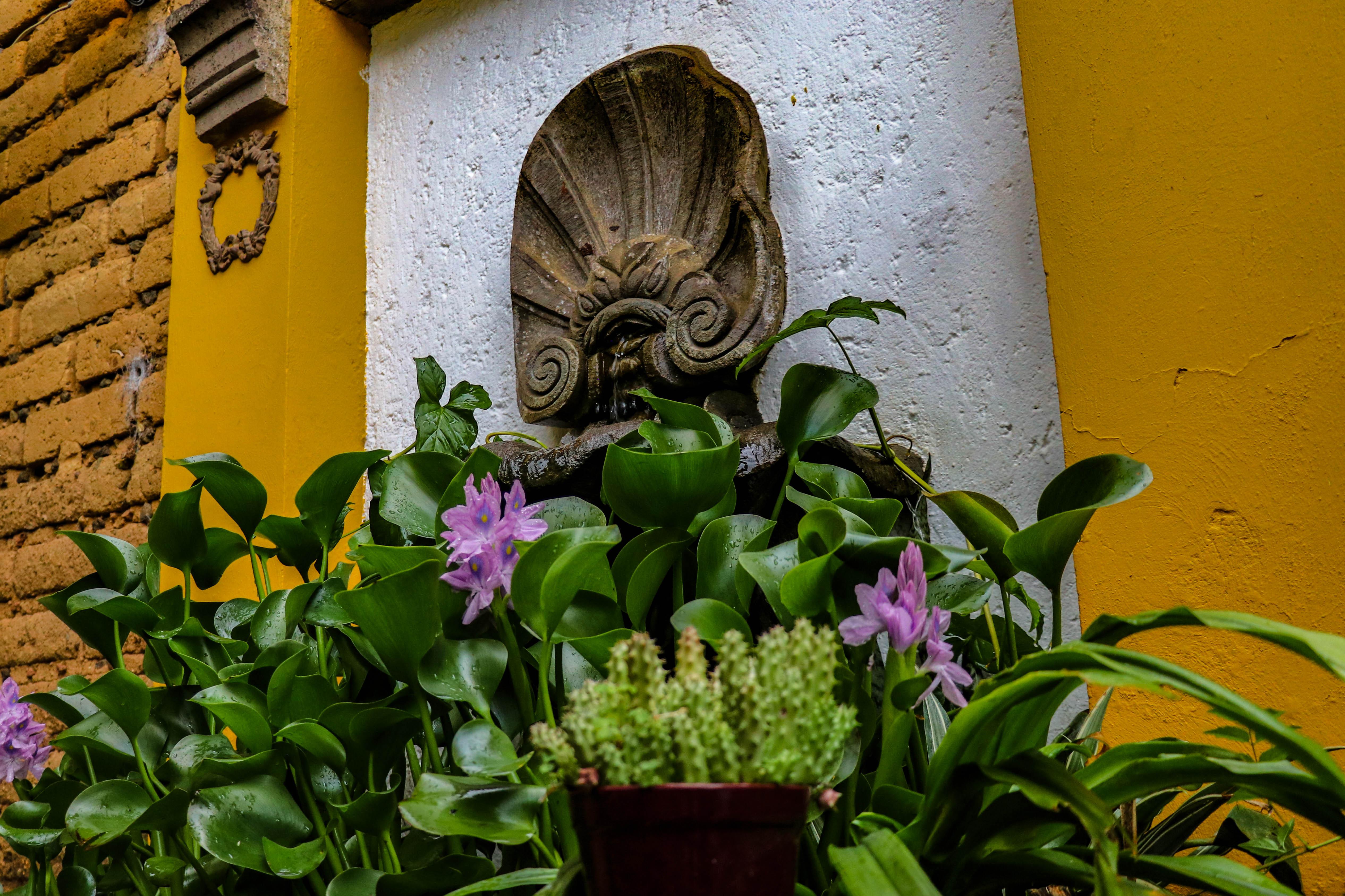 Quinta La Herradura Hotel Tepoztlan Exterior photo